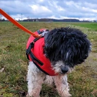 Jessi, Mix, Schwarz / Weiß
