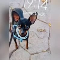Mia