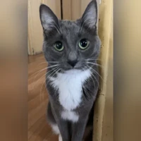 Stormi
