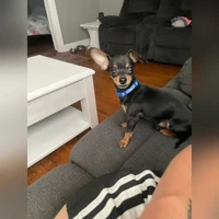 JAX