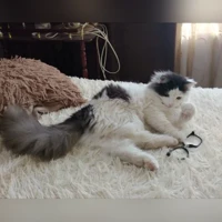 Зайка