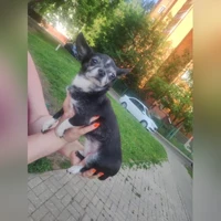Nessuna foto