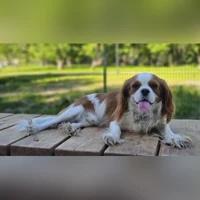 Alexxx