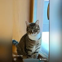 Сильвер