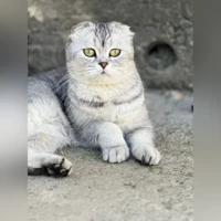 Милка