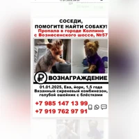 Ева