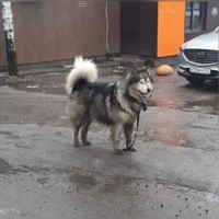 Fotoğraf yok