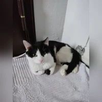 неизвестно