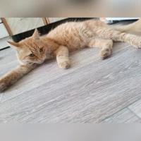 Fotoğraf yok
