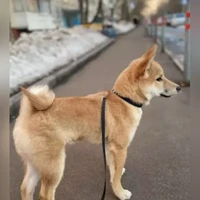 Fotoğraf yok