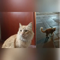 Kein Foto