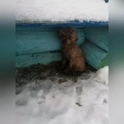 нет