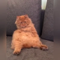 Семен