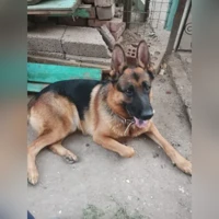 Кайзер, черпачный