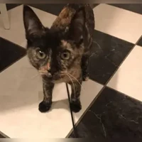 Маша