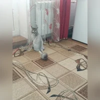 Афина
