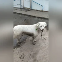 Fotoğraf yok