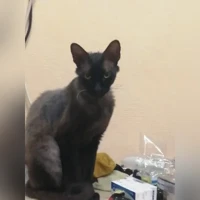 Sin foto
