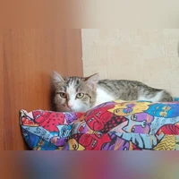 Sin foto